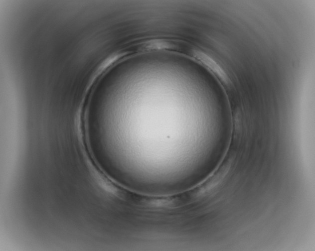 X0000113541047200909250922