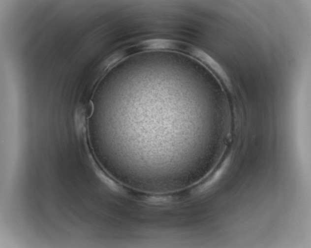 X0000113541049200909250922