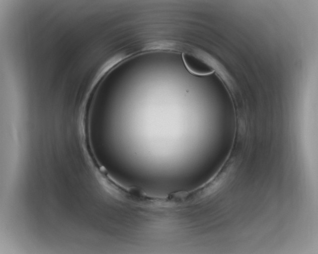 X0000113541050200909250922