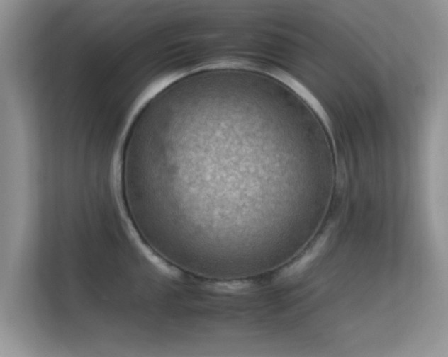 X0000113541053200909250922