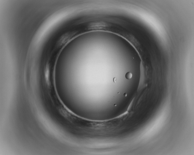 X0000113541054200909250922