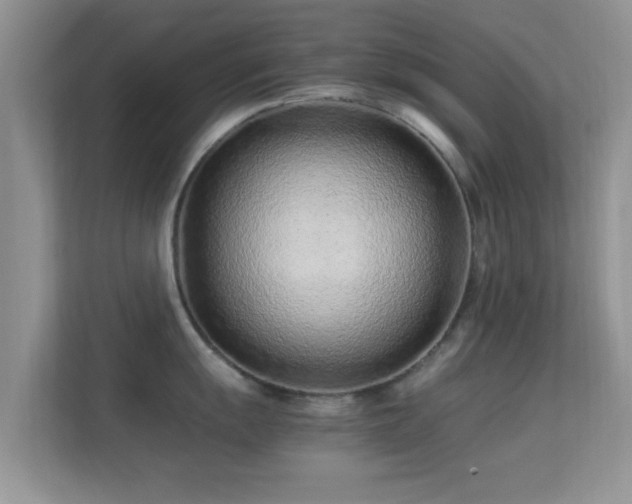 X0000113541055200909250922