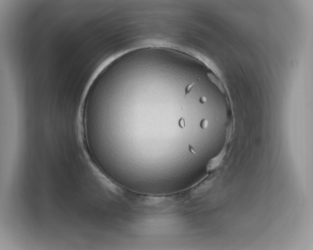 X0000113541056200909250922