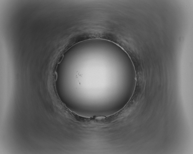 X0000113541057200909250922