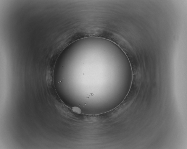 X0000113541058200909250922