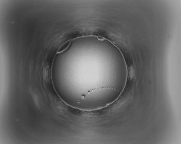 X0000113541059200909250922