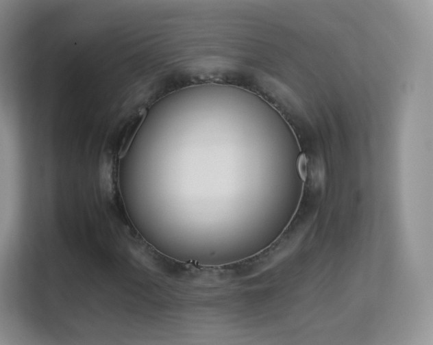X0000113541060200909250922