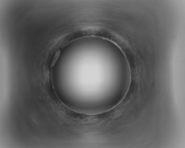X0000113541061200909250922
