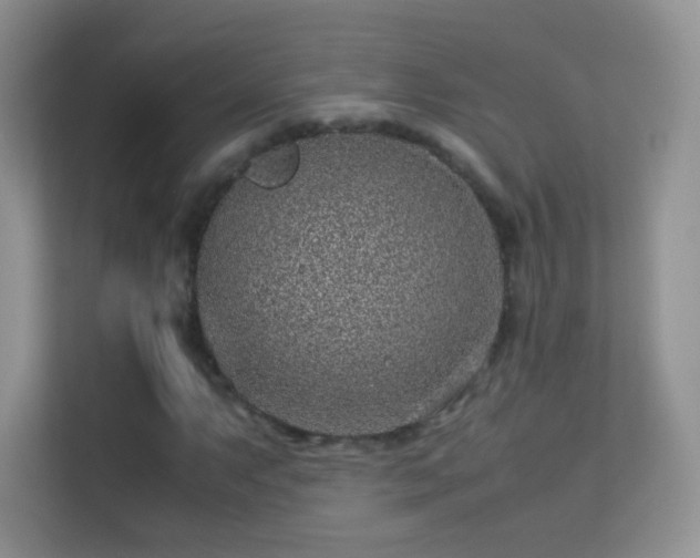 X0000113541063200909250921