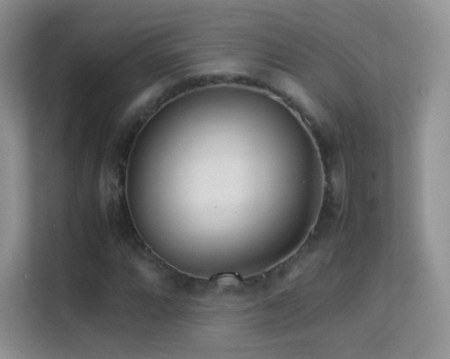 X0000113541064200909250921