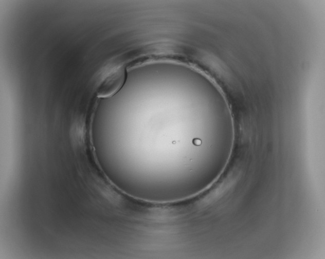 X0000113541065200909250921