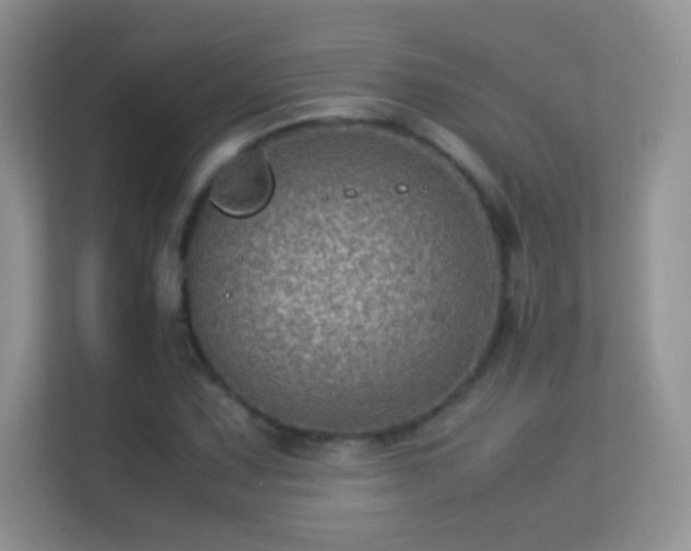 X0000113541067200909250921