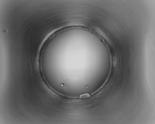 X0000113541068200909250921