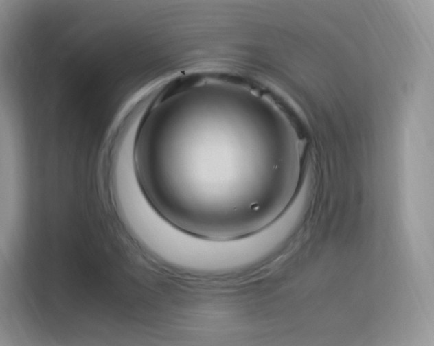 X0000113541069200909250921