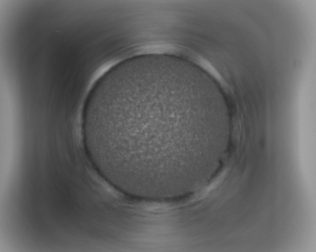X0000113541071200909250921