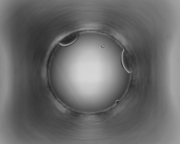 X0000113541072200909250921