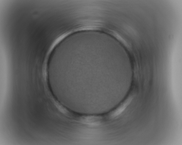 X0000113541077200909250921