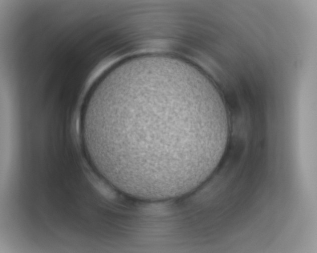 X0000113541078200909250921