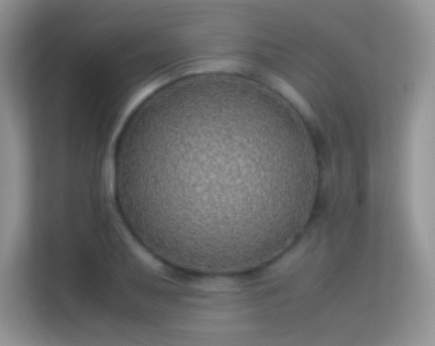 X0000113541079200909250921