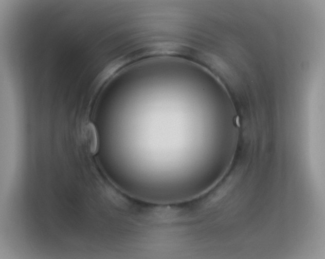 X0000113541081200909250921
