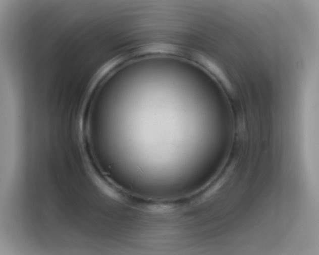 X0000113541082200909250921