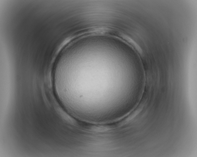 X0000113541083200909250921