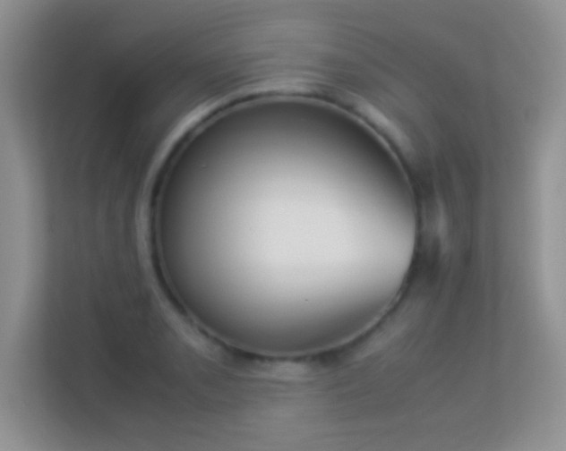 X0000113541085200909250921