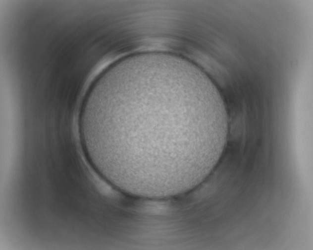 X0000113541086200909250921