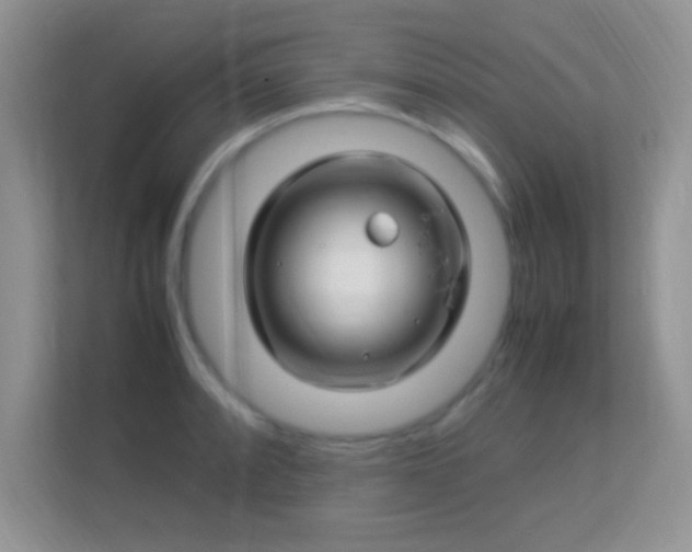 X0000113541088200909250921