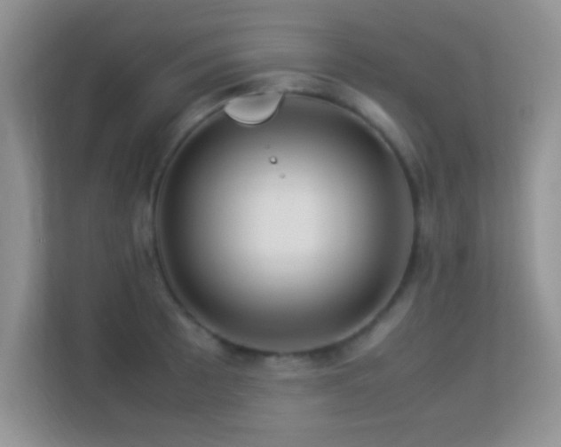 X0000113541089200909250921