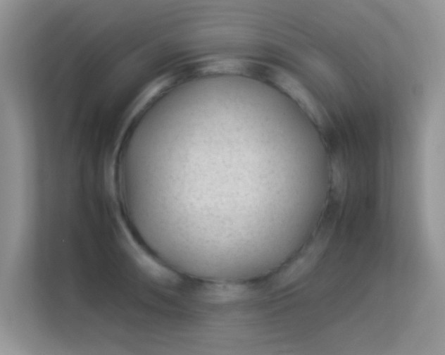 X0000113541090200909250921
