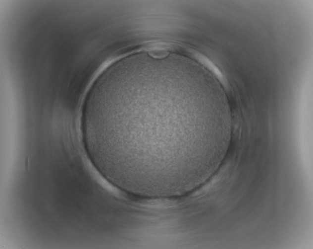 X0000113541091200909250921