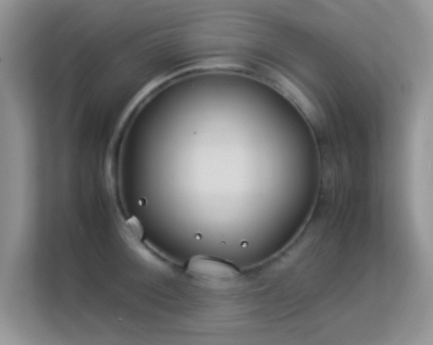 X0000113541092200909250921