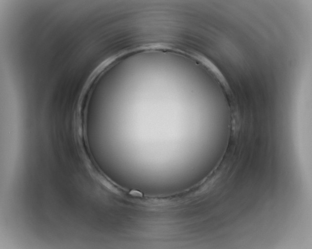 X0000113541096200909250921