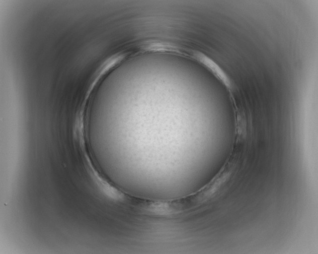 X0000113541098200909250921