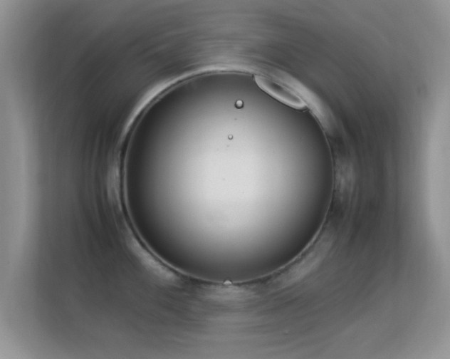 X0000113541100200909250921
