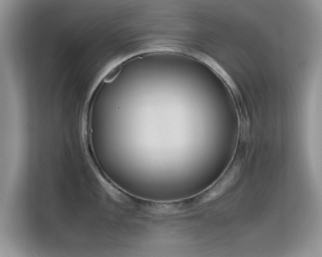 X0000113541101200909250921
