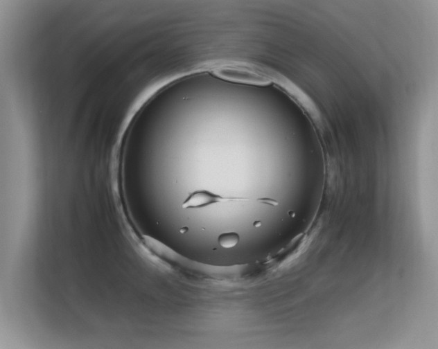 X0000113541102200909250921