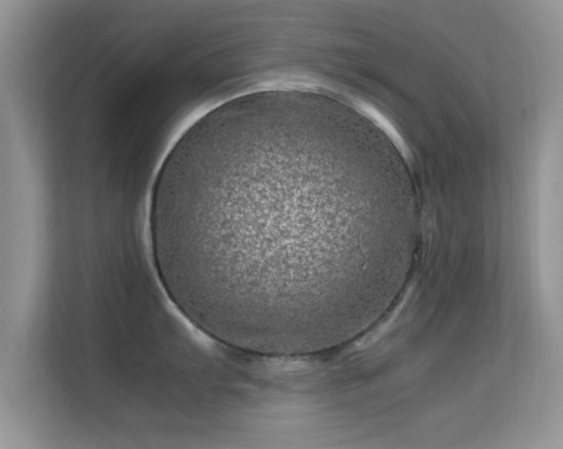 X0000113541103200909250921