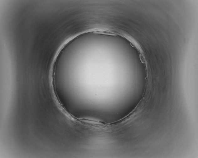X0000113541104200909250921