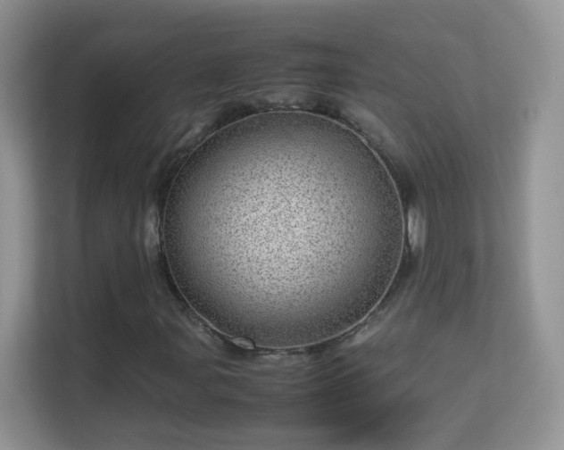 X0000113541107200909250920
