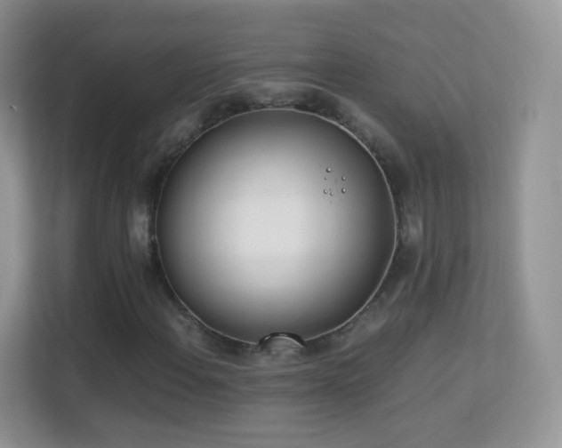 X0000113541108200909250920