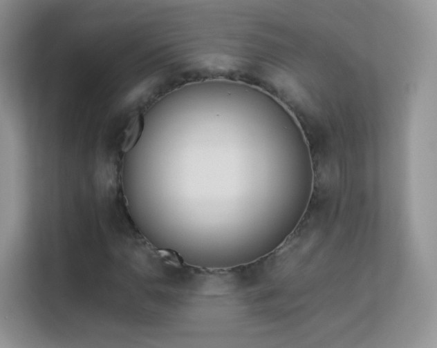 X0000113541110200909250920