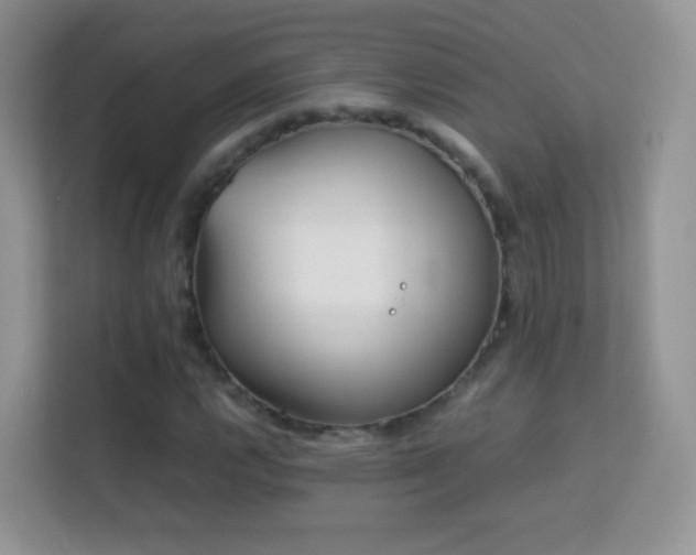 X0000113541112200909250920
