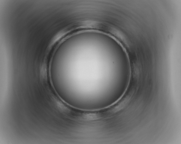 X0000113541114200909250920