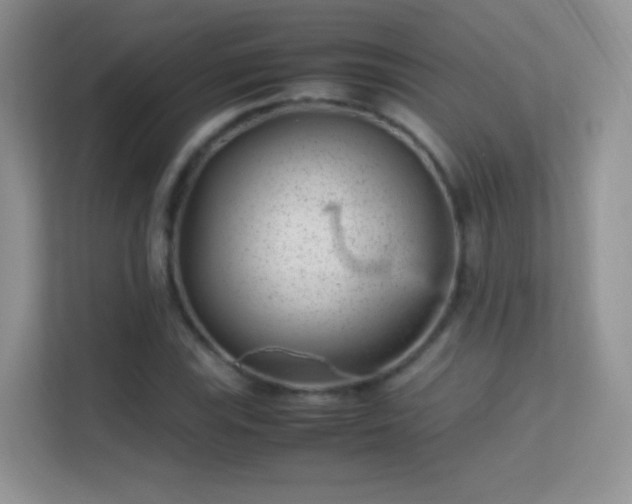 X0000113541115200909250920