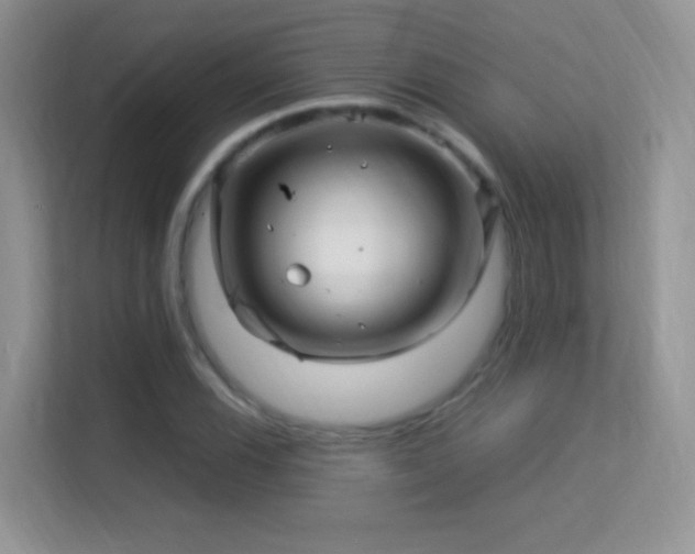 X0000113541116200909250920