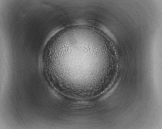 X0000113541117200909250920