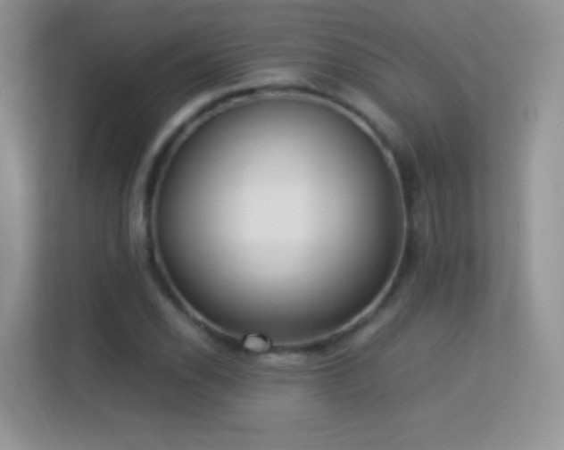 X0000113541118200909250920