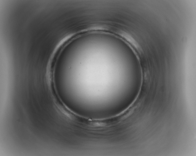 X0000113541119200909250920